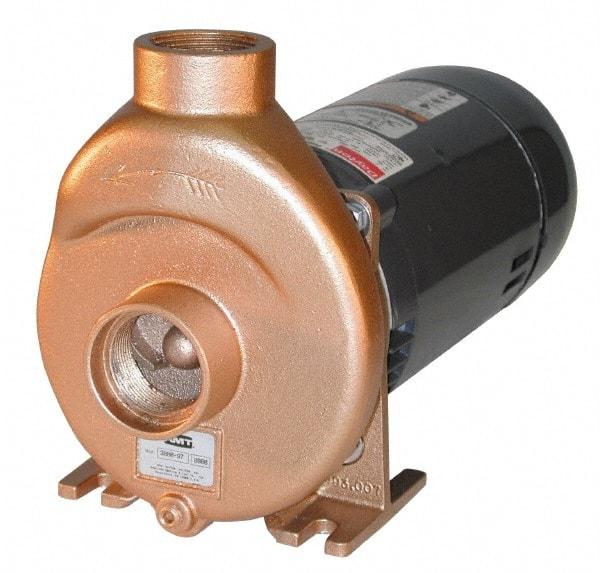 American Machine & Tool - 115/230 Volt, 17/9 Amp, 1 Phase, 1 HP, Self Priming Spa and Pool Pump - 56J Frame, 1-1/2 Inch Inlet, ODP Motor, Bronze Housing and Impeller, Buna N Seal - Exact Tool & Supply