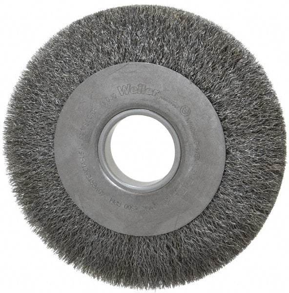 Weiler - 8" OD, 2" Arbor Hole, Crimped Steel Wheel Brush - 1" Face Width, 1-3/8" Trim Length, 0.0104" Filament Diam, 4,500 RPM - Exact Tool & Supply