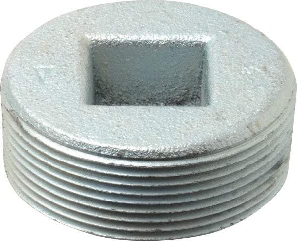 Cooper Crouse-Hinds - 2" Trade, Cast Iron Threaded Rigid/Intermediate (IMC) Conduit Plug - Noninsulated - Exact Tool & Supply