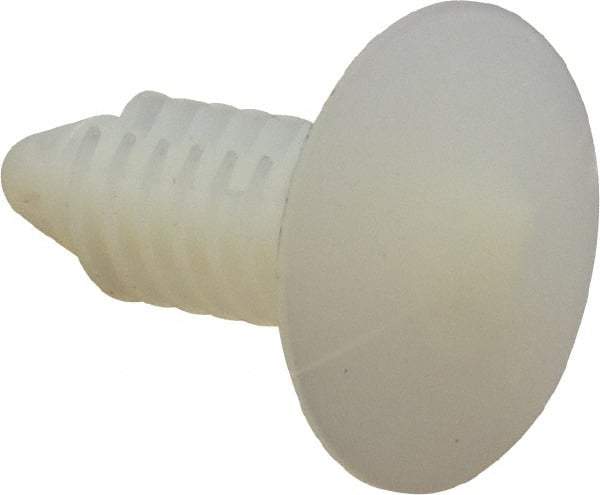 Made in USA - 1/4" to 1/4" Hole Diam, Ratchet Shank, Nylon Panel Rivet - 0.783" Length Under Head, 0.535" Material Thickness, 0.7" Head Diam - Exact Tool & Supply