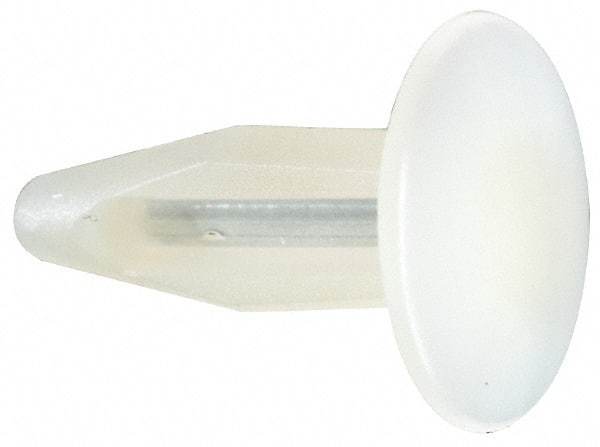 Made in USA - 1/4" to 0.26" Hole Diam, 7/8" OAL, Arrow Shank, Nylon Panel Rivet - 0.81" Length Under Head, 0.36" to 0.38" Material Thickness, 0.615" Head Diam - Exact Tool & Supply