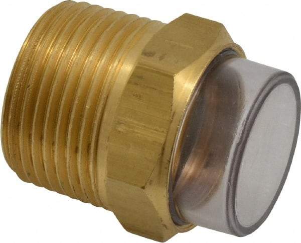 Trico - 2" Sight Diam, 1" Thread, 1-11/16" OAL, Viewport Sight Glass & Flow Sight - 1-5/16" Hex Head, With 3-D Lens - Exact Tool & Supply