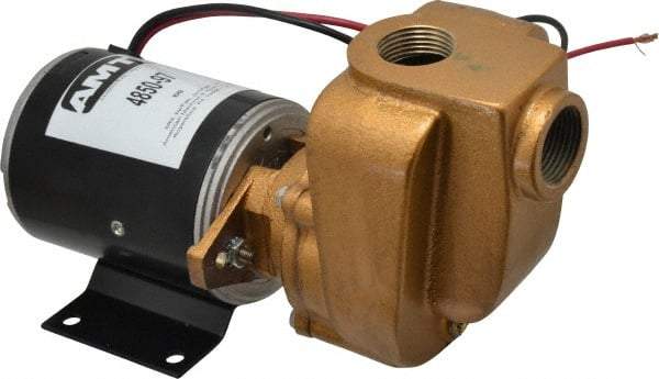 American Machine & Tool - 12 Volt, 1/8 hp, 3/4 Inlet, Bronze Utility Pump - 14 Max Head Pressure, 3/4 Inch Outlet - Exact Tool & Supply