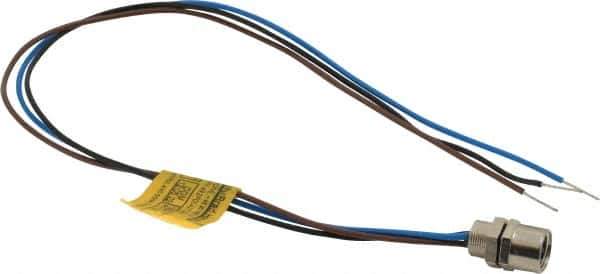 Brad Harrison - 4 Amp, M8 Female Straight Receptacle - 60 VAC, 75 VDC, 0.30m Cable Length, IP67 Ingress Rating - Exact Tool & Supply
