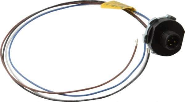 Brad Harrison - 4 Amp, M12 Male Straight Receptacle - 250 VAC/VDC, 0.31m Cable Length, IP67 Ingress Rating - Exact Tool & Supply