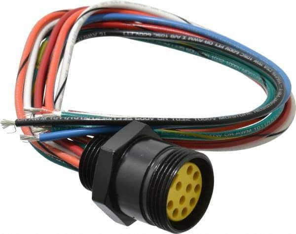 Brad Harrison - 7 Amp, Female Straight Receptacle - 600 VAC/VDC, 0.31m Cable Length, IP67 Ingress Rating - Exact Tool & Supply