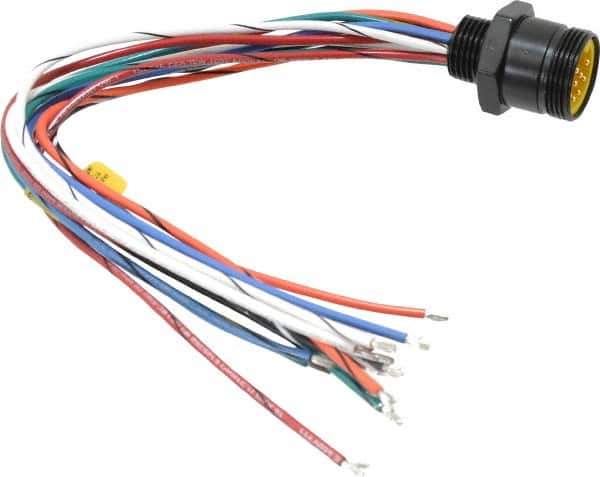 Brad Harrison - 5 Amp, Male Straight Receptacle - 600 VAC/VDC, 0.31m Cable Length, IP67 Ingress Rating - Exact Tool & Supply