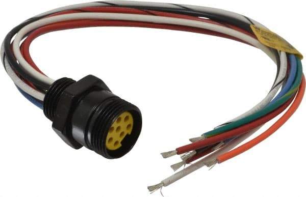 Brad Harrison - 7 Amp, Female Straight Receptacle - 600 VAC/VDC, 0.31m Cable Length, IP67 Ingress Rating - Exact Tool & Supply
