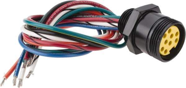 Brad Harrison - 7 Amp, Female Straight Receptacle - 600 VAC/VDC, 0.31m Cable Length, IP67 Ingress Rating - Exact Tool & Supply