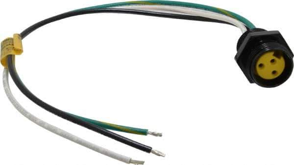 Brad Harrison - 13 Amp, Female Straight Receptacle - 600 VAC/VDC, 0.31m Cable Length, IP67 Ingress Rating - Exact Tool & Supply