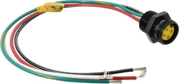 Brad Harrison - 10 Amp, Female Straight Receptacle - 600 VAC/VDC, 0.31m Cable Length, IP67 Ingress Rating - Exact Tool & Supply
