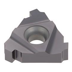 22IR 5BAPI AH725 Tungthread Ins - Ld - "G" W/O C/B - Exact Tool & Supply