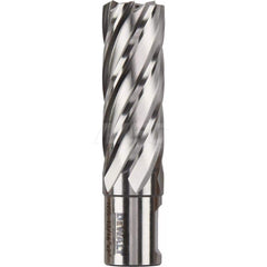 DeWALT - Annular Cutters; Cutter Diameter (Inch): 13/16 ; Cutter Diameter (Decimal Inch): 0.1830 ; Cutting Depth (Inch): 2 ; Shank Diameter (Inch): 3/4 ; Finish/Coating: Uncoated ; Cutter Material: High Speed Steel - Exact Tool & Supply