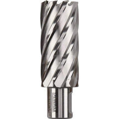 DeWALT - Annular Cutters; Cutter Diameter (Inch): 1-1/8 ; Cutter Diameter (Decimal Inch): 1.1250 ; Cutting Depth (Inch): 2 ; Shank Diameter (Inch): 3/4 ; Finish/Coating: Uncoated ; Cutter Material: High Speed Steel - Exact Tool & Supply