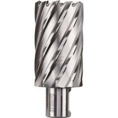 DeWALT - Annular Cutters; Cutter Diameter (Inch): 1-7/16 ; Cutter Diameter (Decimal Inch): 1.4380 ; Cutting Depth (Inch): 2 ; Shank Diameter (Inch): 3/4 ; Finish/Coating: Uncoated ; Cutter Material: High Speed Steel - Exact Tool & Supply