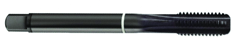 9/16-12 Dia. - 2B - 4 FL - Cobalt Semi-Bott White Ring Tap - Blk-Ox FORM-C DIN 376 - Exact Tool & Supply
