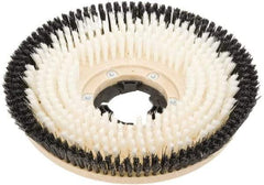 Clarke - 17" Diam Carpet Brush - 17" Machine, Black Pad, Nylon - Exact Tool & Supply