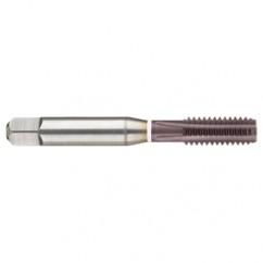 M14 x 2.0 Dia. - 6H - 4 FL - Cobalt Straight Flute Semi-Bott White Ring Tap - Firex - Exact Tool & Supply
