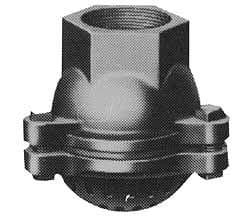Value Collection - 2-1/2" Hose, Foot Valve - Cast Iron - Exact Tool & Supply