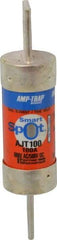 Ferraz Shawmut - 500 VDC, 600 VAC, 100 Amp, Time Delay General Purpose Fuse - Clip Mount, 4-5/8" OAL, 100 at DC, 200 at AC, 300 (Self-Certified) kA Rating, 1-1/16" Diam - Exact Tool & Supply