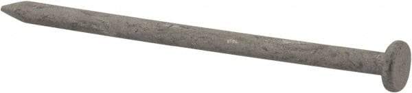 Value Collection - 8D, 10 Gauge, 2-1/2" OAL Common Nails - Ring Shank, Grade 2 Steel, Galvanized Finish - Exact Tool & Supply