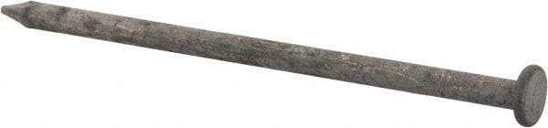 Value Collection - 16D, 8 Gauge, 3-1/2" OAL Common Nails - Ring Shank, Grade 2 Steel, Galvanized Finish - Exact Tool & Supply