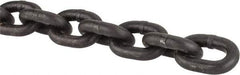 Peerless Chain - 5/16" Welded Alloy Chain - 4,300 Lb Capacity, Grade 80, Alloy Steel, Black Finish - Exact Tool & Supply