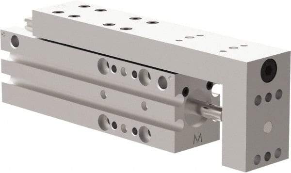 De-Sta-Co - 25mm Stroke, 0.4331" Shaft Diam, Double-Acting Cylinder, Pneumatic Slide - 102mm Long x 20mm Wide, Buna-N Seal, Ball Bearing, Series DLM - Exact Tool & Supply