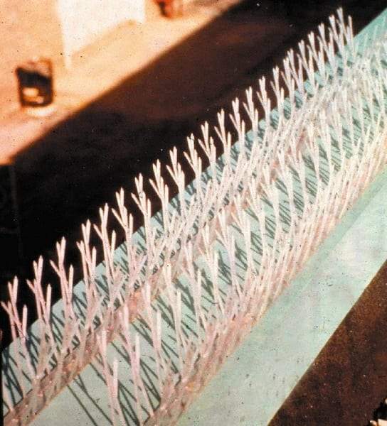 Bird-X - Plastic Bird Spikes - 4-1/2 Inch High x 4-1/2 Inch Wide x 25 Ft. Long x 1 Inch Thick - Exact Tool & Supply