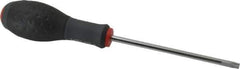 Blackhawk by Proto - TT30 Torx Driver - 5" Blade Length, 9-1/2" OAL, Ergonomic Handle - Exact Tool & Supply
