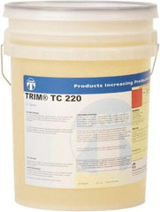 Master Fluid Solutions - 5 Gal Pail pH Adjuster - Exact Tool & Supply