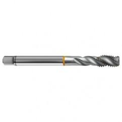 1-8 2B 4-Flute Cobalt Yellow Ring Semi-Bottoming 40 degree Spiral Flute Tap-Bright - Exact Tool & Supply