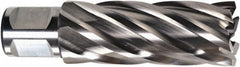 Fein - 7/16" Diam x 2" Deep High Speed Steel Annular Cutter - Exact Tool & Supply