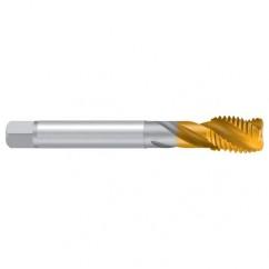 M12-ISO2/6H 2ENORM TiN Sprial Flute Tap - Exact Tool & Supply