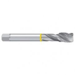 1/2–28 UNEF–2B 2ENORM Sprial Flute Tap - Exact Tool & Supply