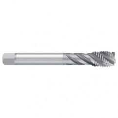 RP 3/4 BSPP 2ENORM-Z/E Straight Flute Pipe Tap - Exact Tool & Supply