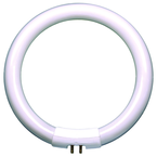 18 Watt Full Spectrum Circline Fluorescent T5 Bulb - Exact Tool & Supply