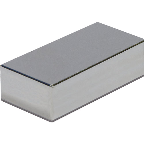 .12 x .50 × 1 Rectangular Rare Earth Magnet - Exact Tool & Supply