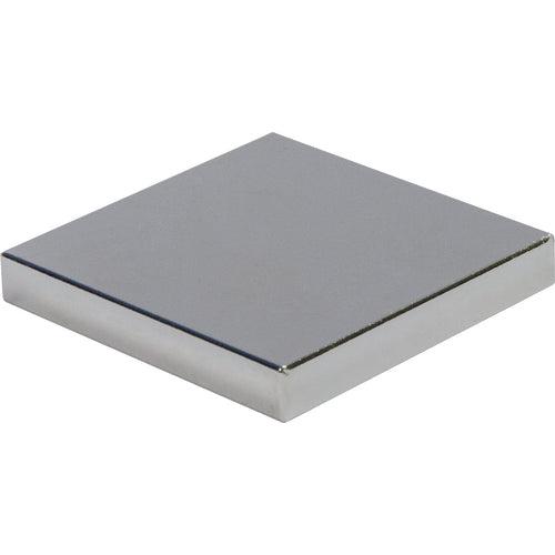 .12 × 1 × 1 Rectangular Rare Earth Magnet - Exact Tool & Supply