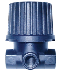 #ER02G - 1/4 NPT - Regulator with Gauge - Exact Tool & Supply