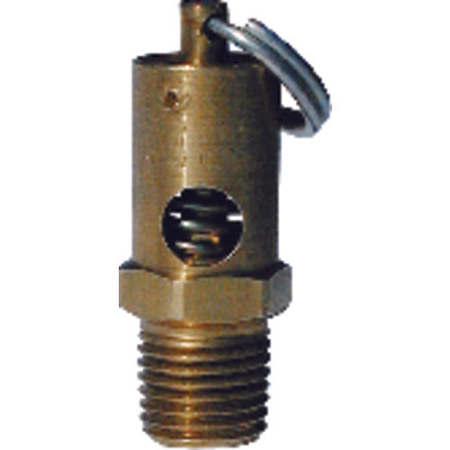 Model SV100–100 psi–75 SCFM - Compressor Relief Valve - Exact Tool & Supply