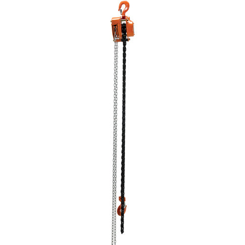 Professional Chain Hoist 4K 15 Ft - Exact Tool & Supply
