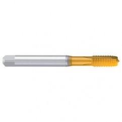 M10–6H REK.A-H/E TiN Straight Flute Tap - Exact Tool & Supply