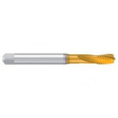 1/4–28 UNF–2BX REK.1D-S TiN Sprial Flute Tap - Exact Tool & Supply