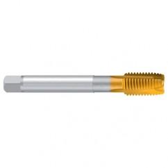 M12X1.5–6H REK.A-H/E TiN Straight Flute Tap - Exact Tool & Supply