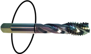 1-12 Dia. - H6 - 4 FL - Std Spiral Flute Tap - Black Ring - Exact Tool & Supply