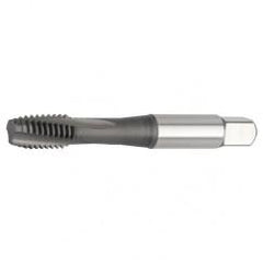 GT625506 M3X0 5 D3 3FL RHSFSEMI-BOT - Exact Tool & Supply