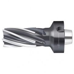F1682.N8.063.Z06.100.P - Exact Tool & Supply