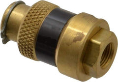 Coilhose Pneumatics - 1/8" Pipe, FNPT x FNPT, Brass Lockout Valve - 150 Max psi, Brass Sleeve - Exact Tool & Supply