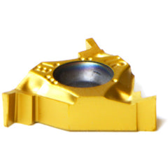 16 IR/EL 0.031 BXC THREADING INSERT - Exact Tool & Supply